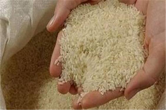 قیمت جدید برنج اعلام شد