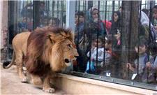 پایش هفتگی مراکز نگهداری حیوانات در تهران