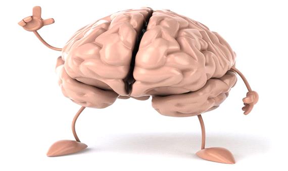 دلایل کاهش اندازه مغز انسان از دیدگاه دانشمندان