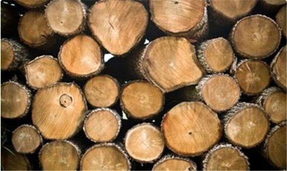 تمسخر رئیس جمهور بلاروس از زمستان اروپا: می‌توانید بین چوب صنوبر و توس انتخاب کنید!