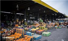 افتتاح 3 بازار میوه‌ و تره‌بار در شنبه افتخار و امید/ بهره‌برداری از 200 بازار تره‌بار تا پایان 1402