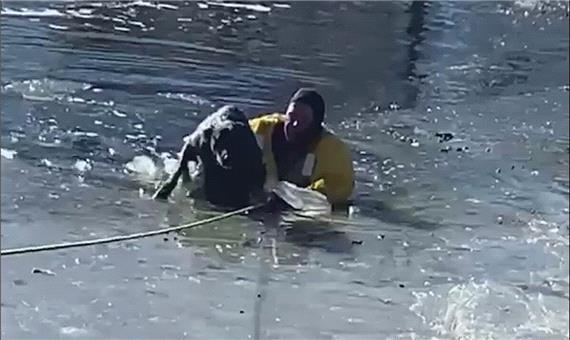 نجات یک سگ از برکه یخ‌زده