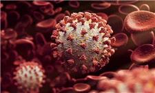 زنگ خطر شیوع یک ویروس جدید مشابه کروناویروس