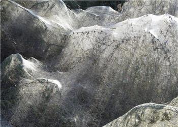 شهری زیرزمینی از تار و عنکبوت در قلب بالکان