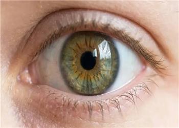 خاموشکردن موقت بینایی؛ رویکردی نویدبخش برای درمان تنبلی چشم در بزرگسالان