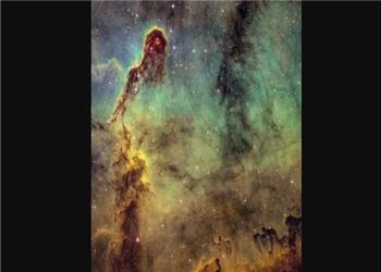 عکسی از خرطوم فیل در آسمان!