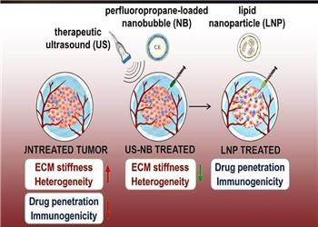 فروپاشی دژ نامرئی سرطان با فناوری نانوحباب