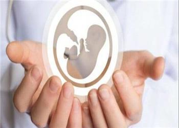 لزوم شفافیت علمی و کاهش هزینههای غیرضروری زوجین در مسیر درمان ناباروری | آخرین خبر