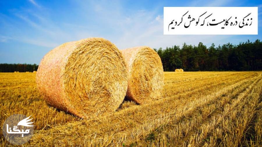 شاعرانه/ زندگی ذره کاهیست، که کوهش کردیم!