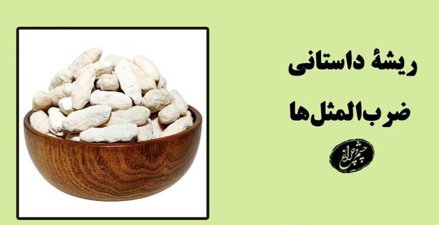 «کشکِ چه و پشمِ چه؟!»