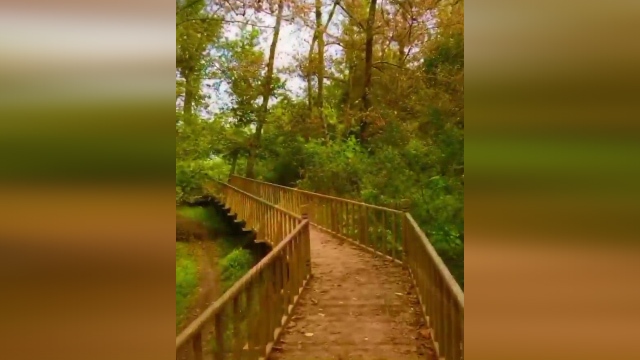 فیلمی دیدنی از مسیر زیبای تالاب جوکندان