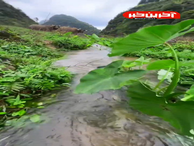 شیوه جالب و خلاقانه فیلمبرداری