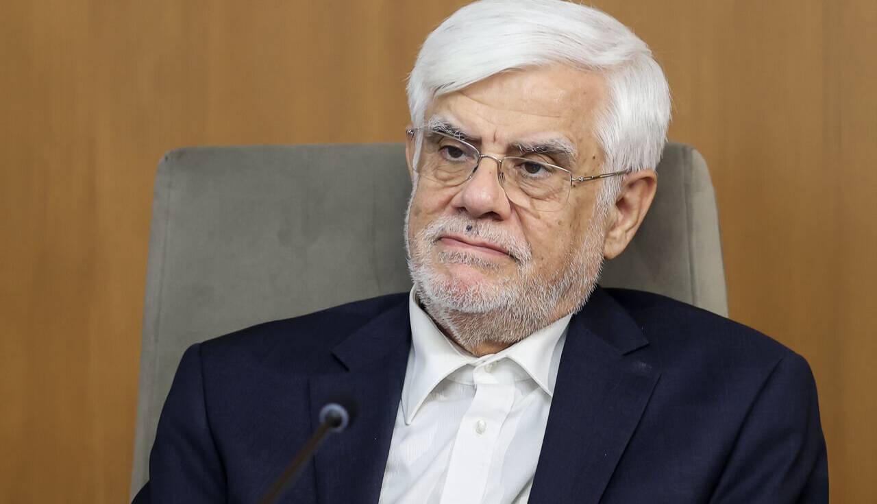 دیدار نخست وزیر روسیه با عارف