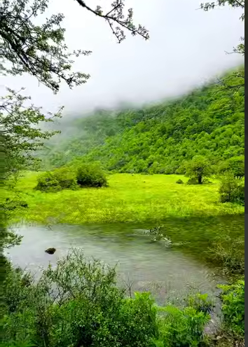 دشت زیبای دریاسر در تنکابن