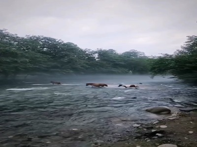 پنج منطقه دیدنی در سوادکوه