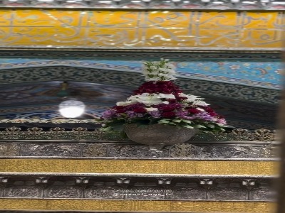 استوری/ هرکسی داد تو رو به جوادت قسم...