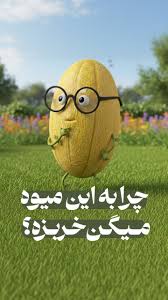 چرا به این میوه میگن خربزه؟