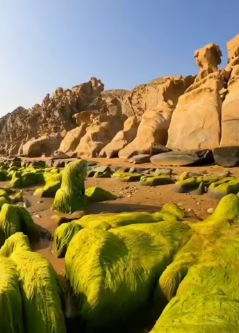 ساحل زیبای مکسر در بندر مقام در غرب استان هرمزگان