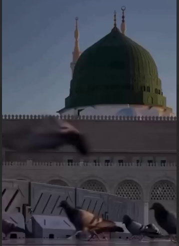 السلام علیک یا رسول الله