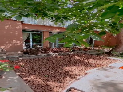 حیاط باصفای خانه‌ای در روستای بوژان خراسان رضوی