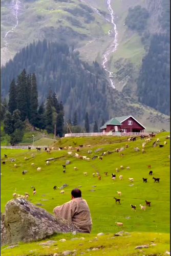 منظره زیبایی از کشمیر هندوستان