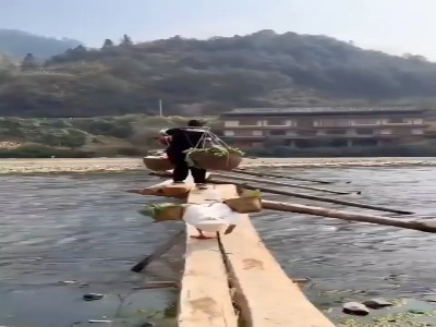 وقتی از غاز هم بیگاری می‌کشن!