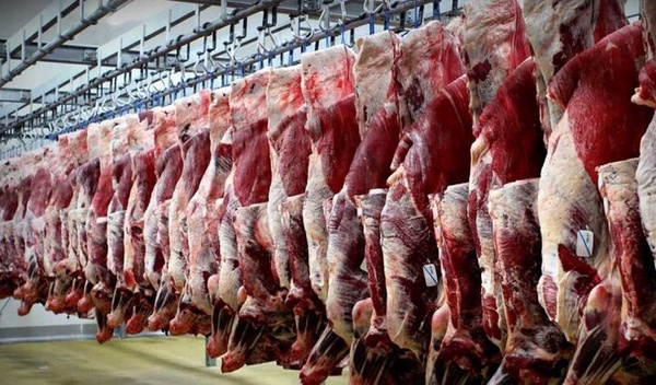 قیمت انواع گوشت تنظیم بازاری گوساله اعلام شد