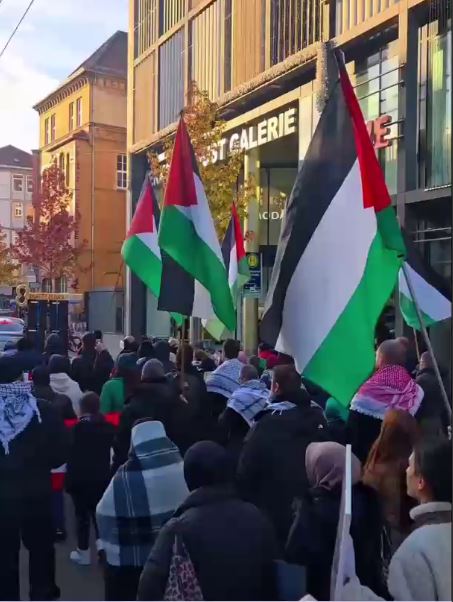 راهپیمایی شهروندان آلمانی در هانوفر در حمایت از فلسطین