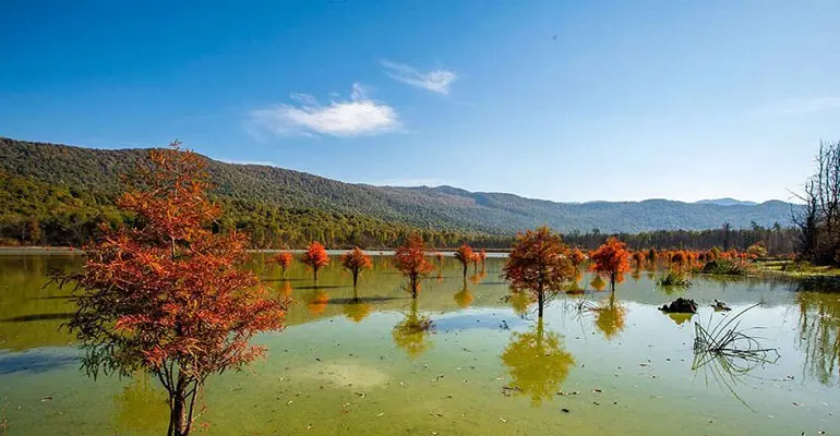 دامنه کوه ازنی؛ از زیباترین جاذبه های مازندران