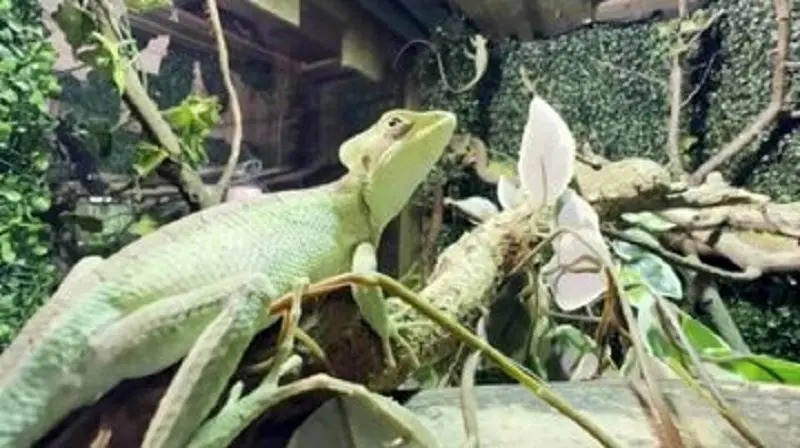 ایران پرسمان