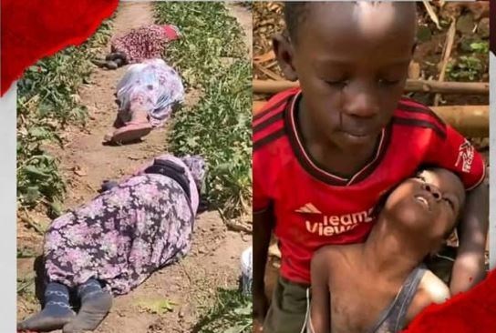 ایران پرسمان