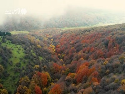پاییز سحرانگیز جنگل فندقلو در اردبیل