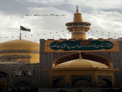 استوری/ یک زیارت مرا نمی طلبی؟