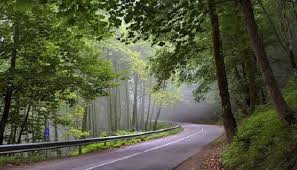 جایی که پاییز با رنگ‌هاش جادو می‌کنه