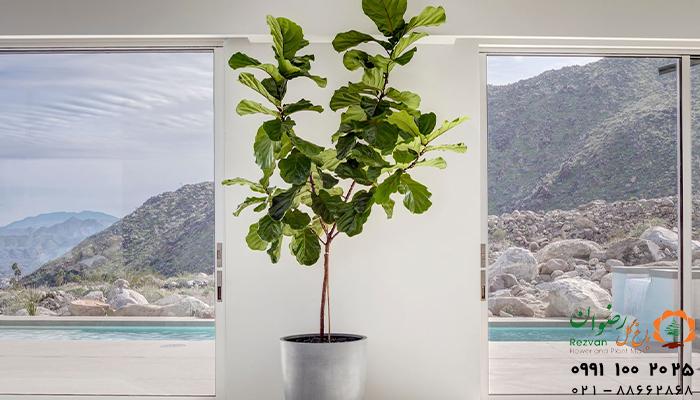 ایران پرسمان