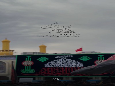 استوری/ مادر خوبی داشتیم ؛ او را شهید کردند