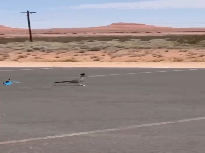 میگ میگ در دنیای واقعی!