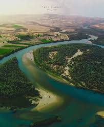 بیشه زیبای عقیلی یک منطقه بکر و بی مثال در خوزستان