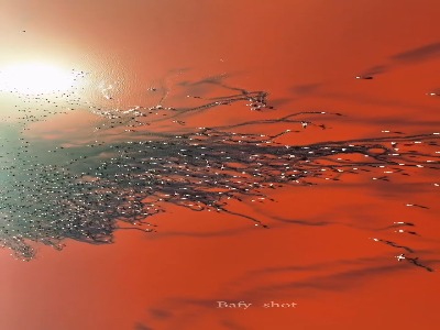 فلامینگوهای مهارلو؛ سکوتی که در حرکت نقاشی شده