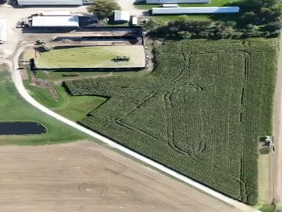 تایم لپس دیدنی از برداشت کل محصولات یک مزرعه ذرت