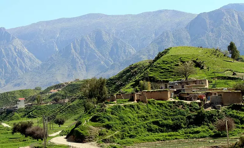 بهشت اینجاست؛ دشت سوسنِ همیشه سبز