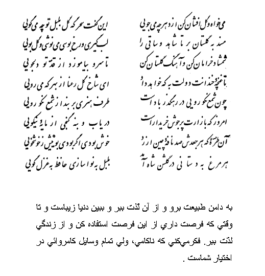 تفال/ می خواه و گل‌افشان کن از دهر چه می‌جویی