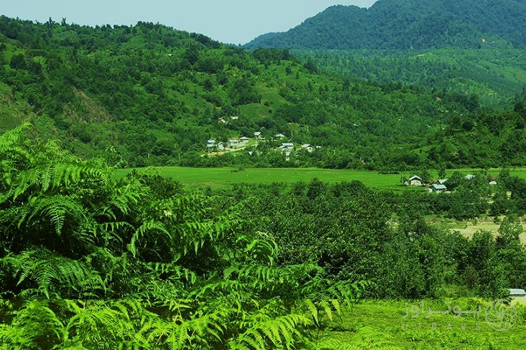 ایران پرسمان