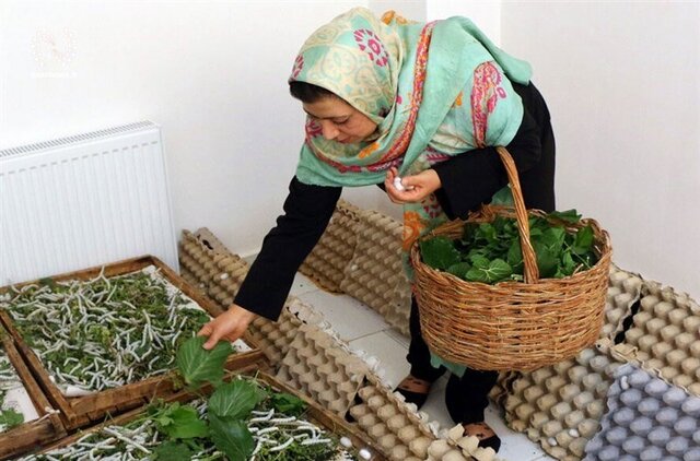 مهم‌ترین مشکل صاحبان مشاغل خانگی