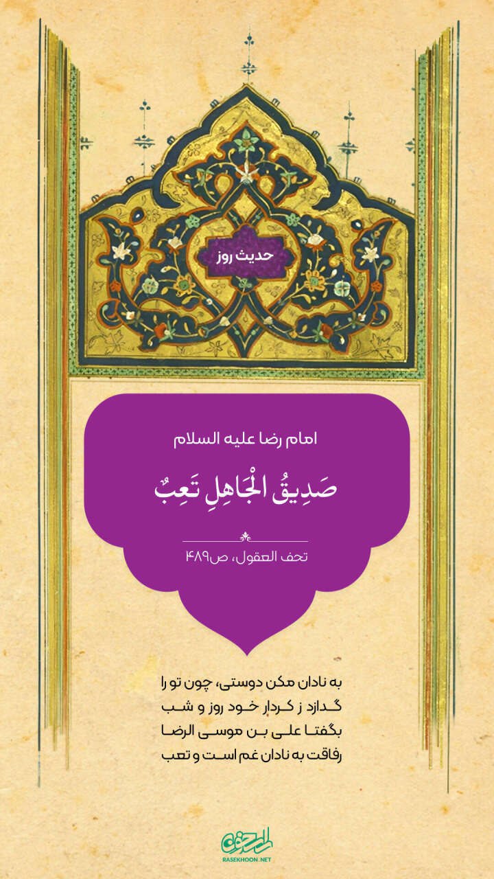 حکمت/ عاقبت دوستی با نادان