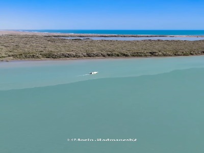 خلیج گواتر و جنگل حرا چابهار