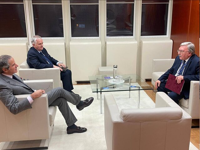 رایزنی اولیانوف با گروسی درباره ایران