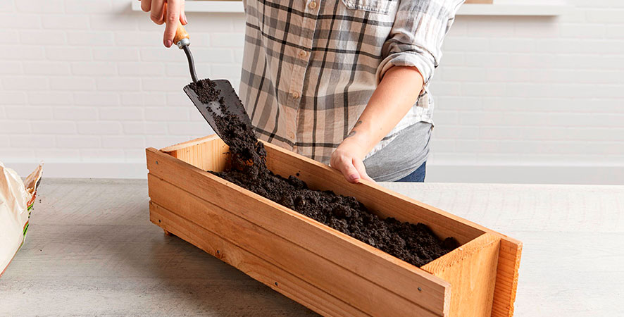 خرید بذر چمن یا قارچ، کدام‌یکی برای شروع درآمدزایی در خانه مناسب‌تر است؟