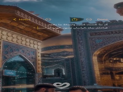 استوری/ ضامنم شاه خراسان بشود خوب‌تر است ...