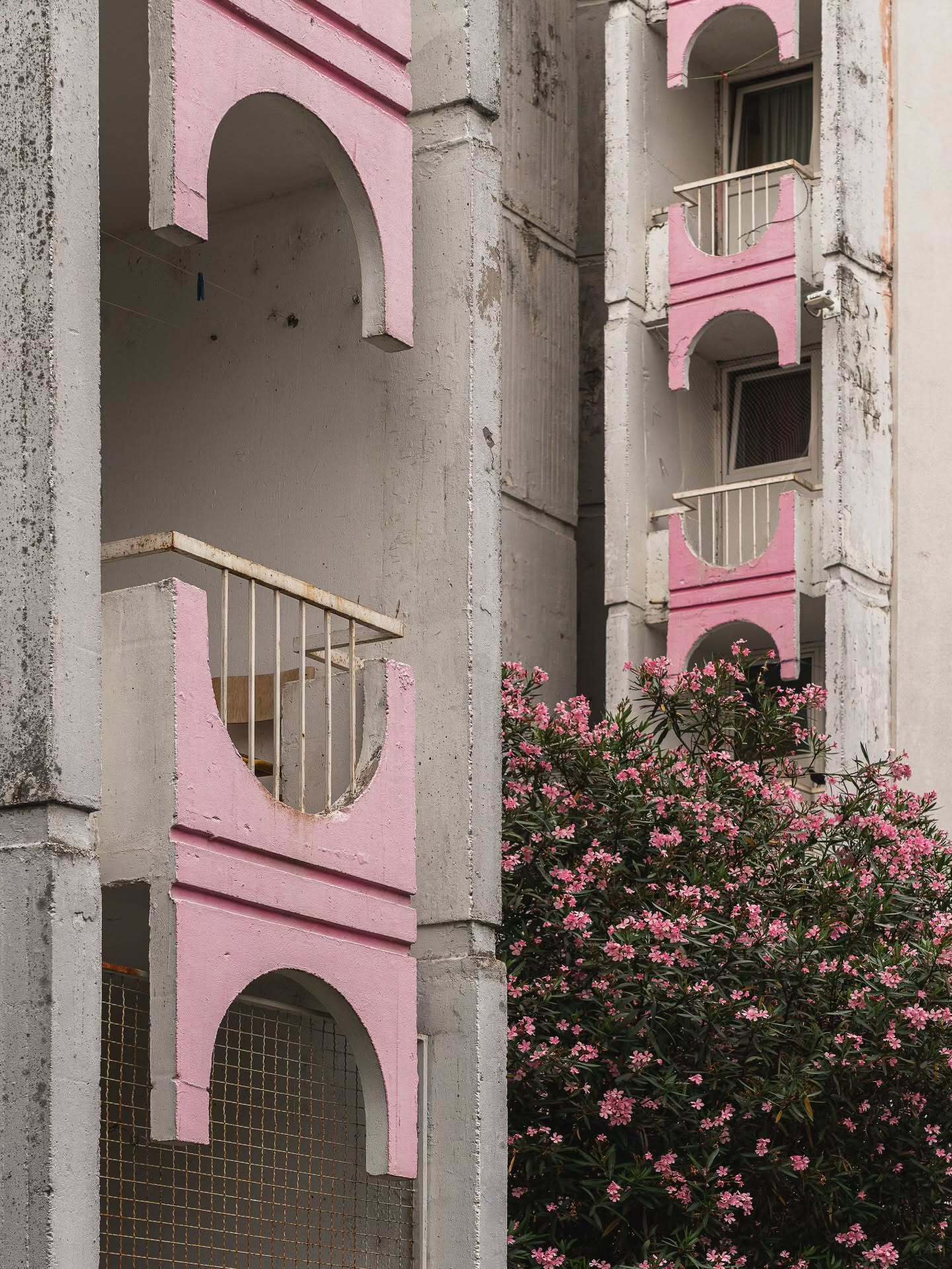 ایران پرسمان